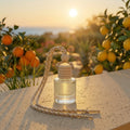 Citrus Soleil - Car Air Freshener