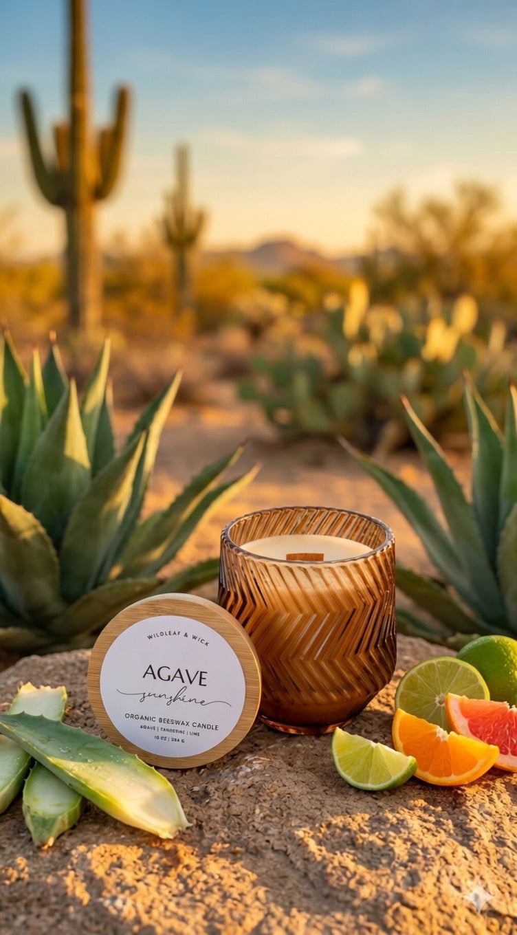 Agave Sunshine - 10oz Organic Beeswax Candle